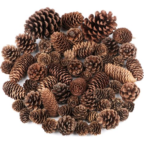 Pine Cones - 60 Pack - Natural Bulk Package, Large, Medium and Mini - Rustic Pine Cones Decorations for Table Christmas Tree Crafts Gifts (1/5)