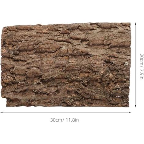 Toile de fond naturelle pour terrarium en écorce de liège, décoration d'habitat d'escalade pour reptiles, 60 cm x 30 cm (1/5)