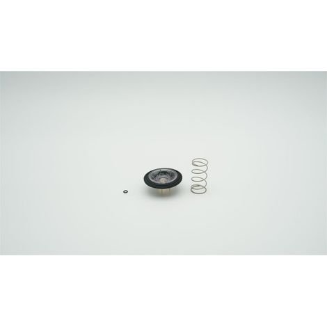 BWT Hauptmembrane für Rondomat Duo 2 und 3, 2-060608