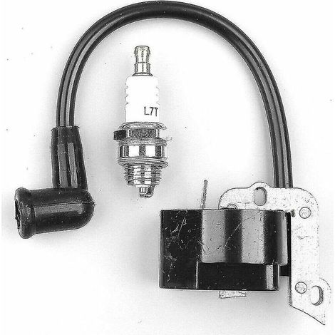 VURAHOME - Bobine d'allumage pour Stihl Fs55 Fs55c Fs46 Fc55 Fs38 Fs45 Fs55 Hl45 Hs45 - Bdliv (1/5)