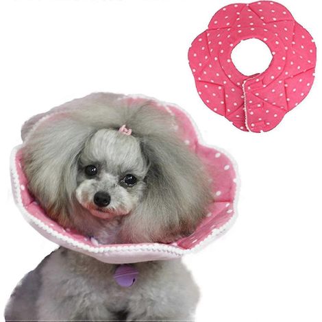 Collier de récupération pour chat, collier conique à pois, protection en coton, ajustable, doux, style élisabéthain. (1/5)