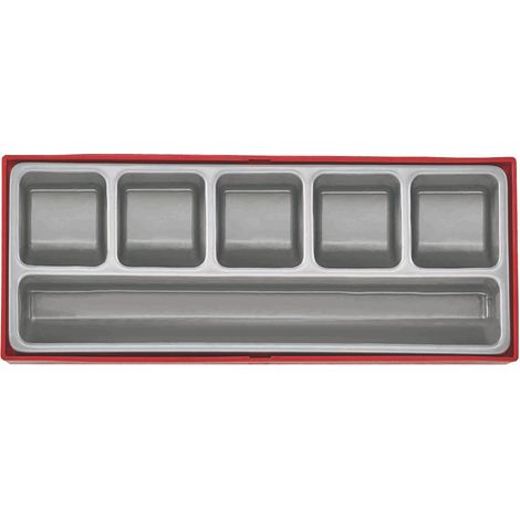 Bandeja de almacenaje  TENGTOOLS TTZ01 263150104