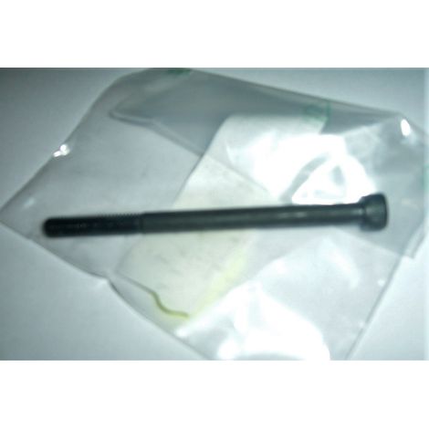 PROGIONIERO VITE MARMITTA MOTOSEHA HUSQVARNA JONSERED ORIGINALE 725538755