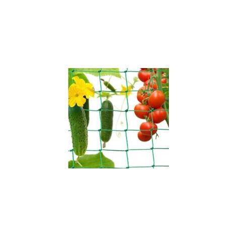 Ranknetz des plantes Grimpantes et des Parcs du Réseau de Concombres, de Tomates et d'Autres Vogelschutznetz Légumes Arceaux Réseau pour plantes Grimpantes (1/5)