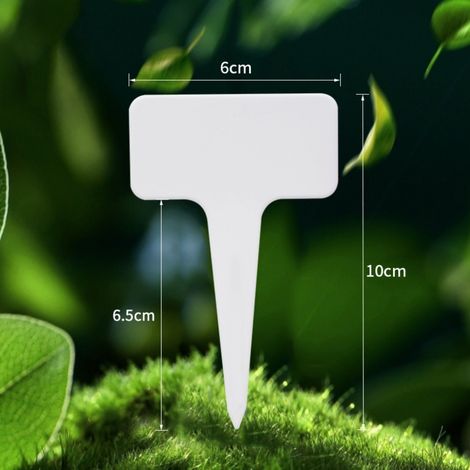 Lot de 100 étiquettes de jardin épaisses en plastique pour plantes et fleurs (1/5)