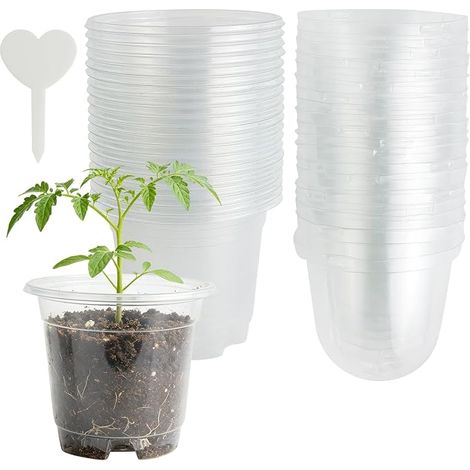 20 Pack 3.5" Clear Grow Pots with Heart Shaped Labels, Plastic, Enhanced Visibility, Moisture Dome (1/5)