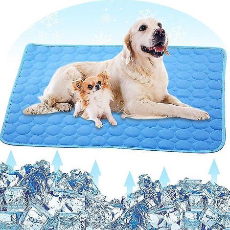 Tapis rafraîchissant bleu lavable pour chiens, niches, canapés et lits (1/4)
