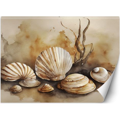 Fototapete nautische Muscheln Acryl 100x70 cm