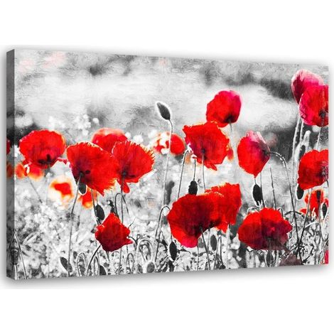 Tableau sur toile Coquelicots Fleurs Rouge Nature 60x40 (1/5)