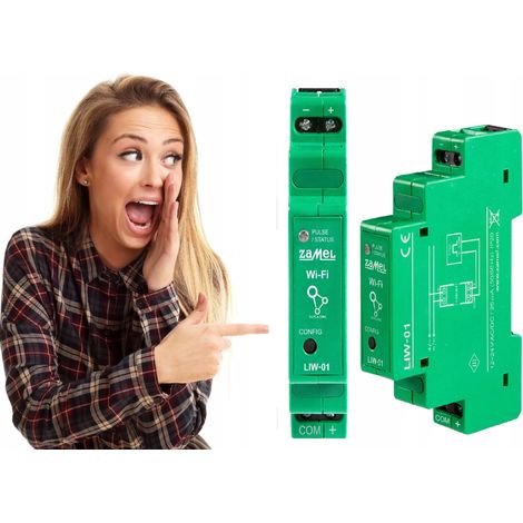 Zamel  Compteur d'impulsions LIW-01 - 12-24V - Wi-Fi - Mesure Énergie, Eau et Gaz (1/5)