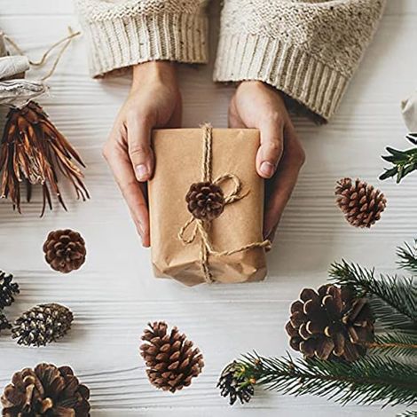 25 pommes de pin naturelles, décorations de sapin de Noël à suspendre, tailles assorties, pour la décoration hivernale de votre maison (1/3)