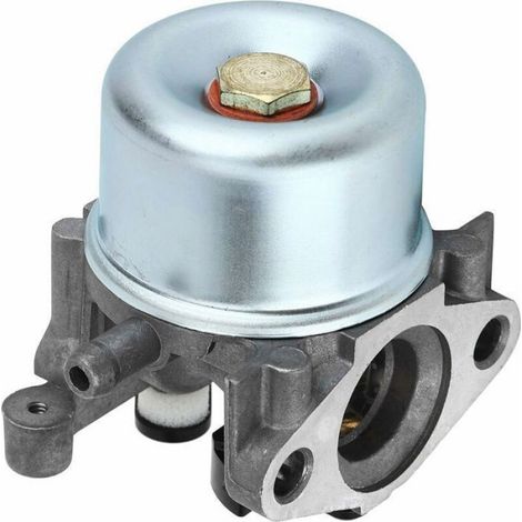 Carburateur - Assemblage avec Diaphragme et Joint - Pour Moteur de Tondeuse à Gazon 190cc - Compatible Briggs Stratton 675 - 1 Pièce (1/5)