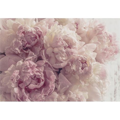 Papier peint panoramique avec des pivoines roses, décoration murale pour le salon ou la chambre à coucher – 400 x 280 cm Wallarena