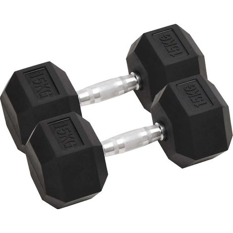 vidaXL Dumbbells 2 pcs 15 kg Total Cast Iron (1/5)