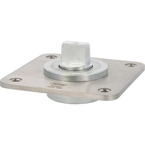 AMIG  Charnière  PIVOT02  Acier (1/5)