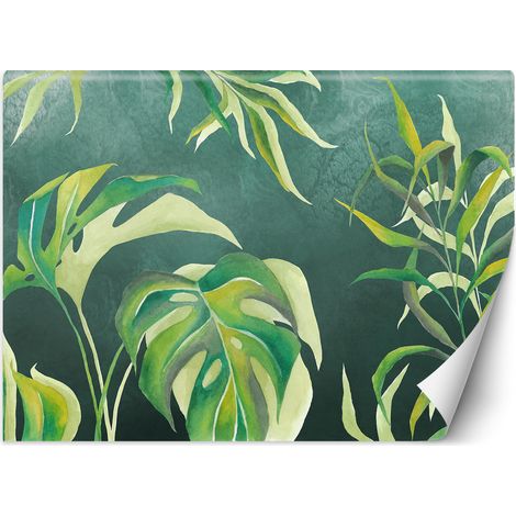 Fototapete Monstera Blatt Pflanzen Grün 100x70 cm (1/5)