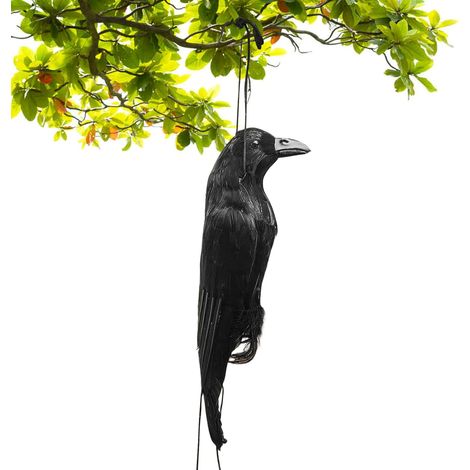 Leurre Corbeau pour Attirer Les Oiseaux, Figurine Épouvantail Corbeau Réaliste, Décor Halloween, Décoration pour Action de Grâce Noël et Soirée Masquée (1/5)