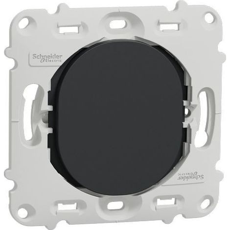 Ovalis - obturateur - sans plaque de finition -Anthracite (S461666)