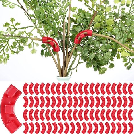 60 Stück Astbindeclips, schonende Bindeclips für Gartenstängel, Pflanzenbiegewerkzeuge und Gartenzubehör.