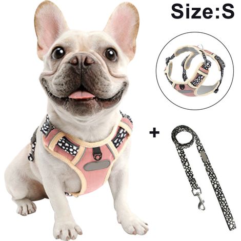 Harnais de poitrine pour chien avec corde de traction, gilet respirant pour animaux de compagnie pour la promenade, le dressage et le contrôle en extérieur pour les races moyennes et grandes.