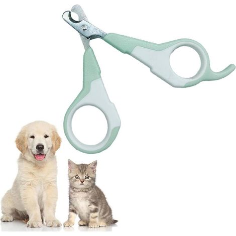 Coupe-griffes pour chats, petits chiens et cochons d'Inde - Acier inoxydable - Tranchant, sûr, confortable, durable et portable