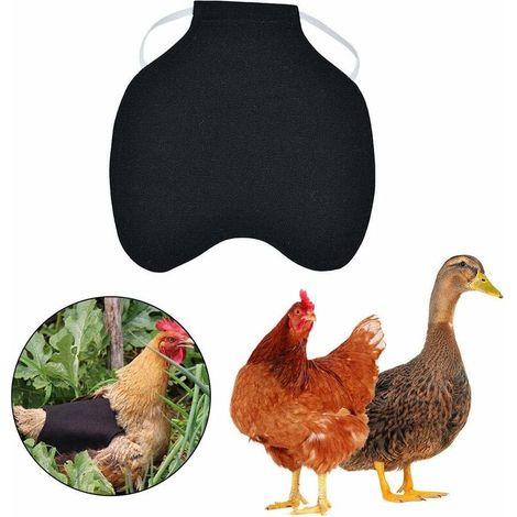 Sangle Single Poulet Tablier de poulet / Vest de selle Piscine Protection des ailes de canard Standard Poulet Sauts Poulet Volaille Accessoires 5pcs Noir (1/5)