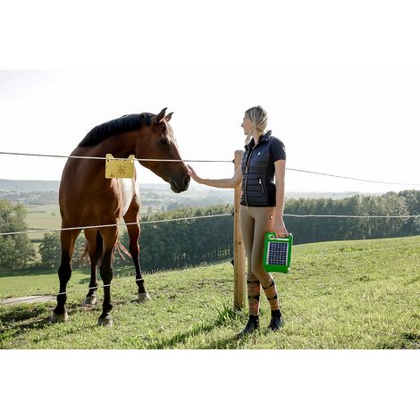 KERBL 392570 TITAN S400 ÉLECTRIFICATEUR DE CLÔTURE 12 V
