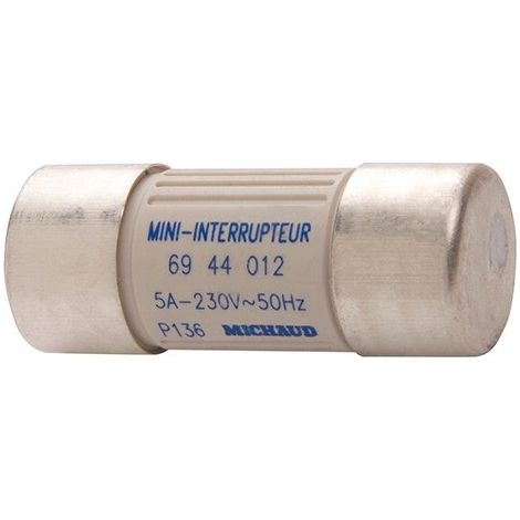 Michaud P136 Mini-Schalter für 5-A-Anschluss, 22 x 58, umkehrbar – Enedis-Code 69 44 012