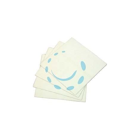 CARTONE FILTRANTE CM.20X20 - ROVER 8 sgrossatura-finitura, micron 3