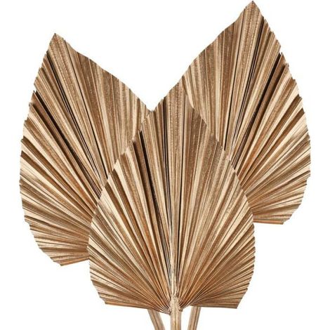 3 Feuilles de palmier séchées, Naturelles, Petit éventail, Décoration bohème, Intérieur Mariage Fête (1/5)