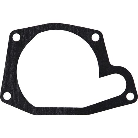 Guarnizione della pompa dell'acqua per MASSEY MF4 4223854M1
