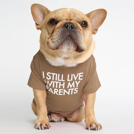 T-Shirt Pour Animal De Compagnie - Col Rond - Tissu Doux Respirant - Convient Chien Petit Race Et Chat - Tailles S À XXL (1/5)