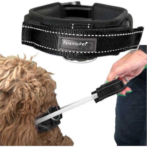 Collare da addestramento per cani con maniglia e guinzaglio corto M