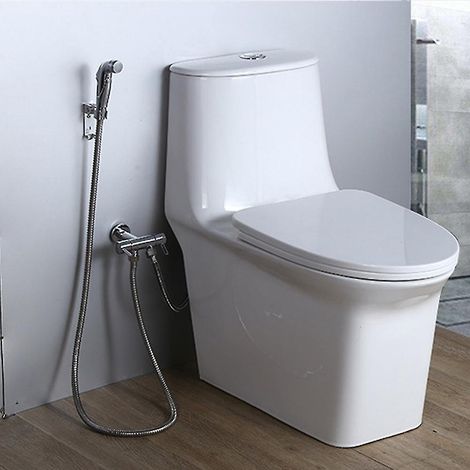 Mini-Handbrausekopf für Bad und WC – Bidet-Duschset –