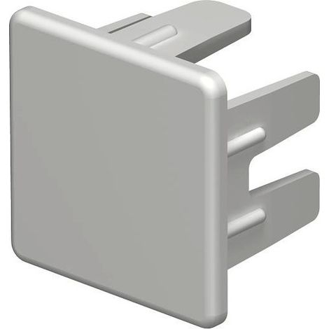 OBO Bettermann Pieza final 25x25mm Cloruro de polivinilo blanco puro RAL 9010, 6193145