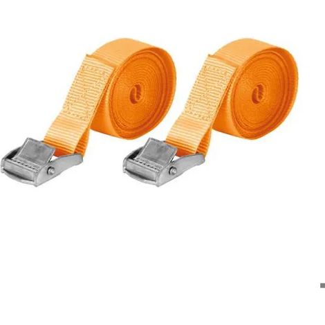 Cinghie di ancoraggio Carpoint 2 x 4.5 metri capacità 250 kg