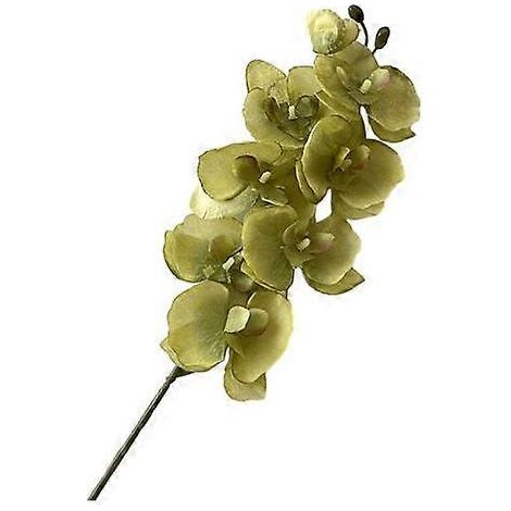 Orchidées artificielles papillon de nuit, fleurs en soie réalistes, décoration pour mariage, fête, maison ou bureauvert (1/5)