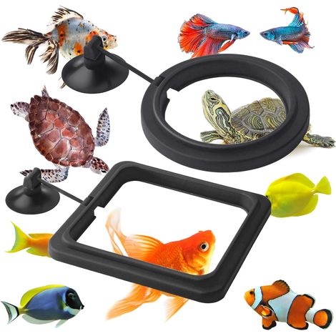 CSPARKV 2pcs Fish Food Dispenser Aquarium Tank Accessories Turtle Food Dispenser Circle for Guppy, Bettas (Black) (1/5)