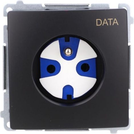 Presa dati base Simon con messa a terra e chiave di autorizzazione (modulo) 16A, 250V, morsetti a vite neri BMGD1.01/49
