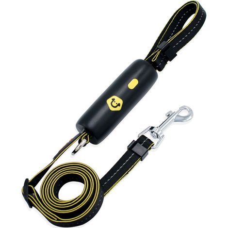 Laisse élastique en nylon pour chien, idéale pour l'entraînement à la promenade - Noire (1/5)