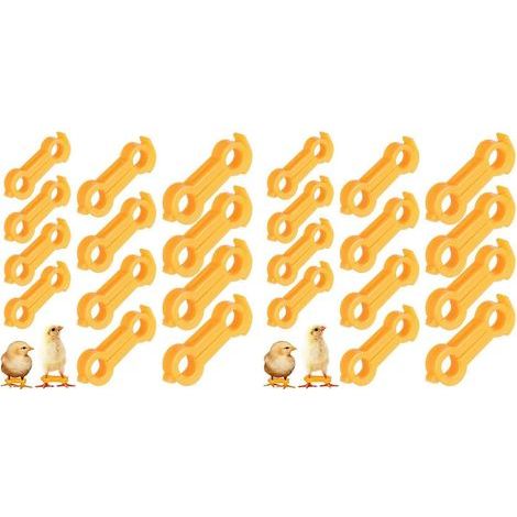 24 fascette per zampe per pulcini, fascette per zampe per pulcini, fascette per zampe per pollame, fascette per zampe per polli (1/5)