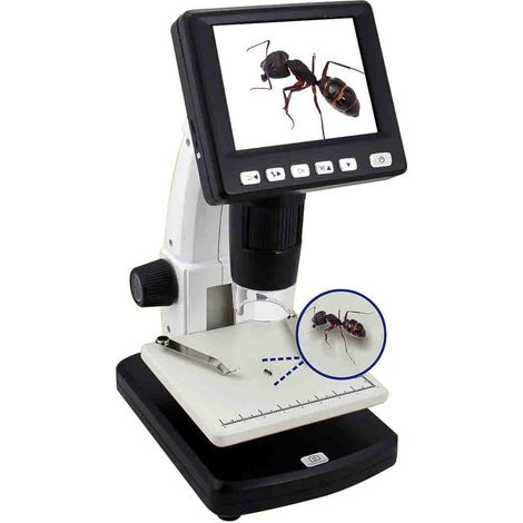 Microscopes numériques RS PRO, grossissement de 10 300, 5 M pixels ( Prix pour 1 ) (1/5)