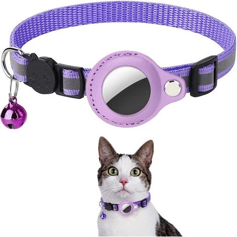 Collier pour chat sans étiquette - Harnais pour chat - Collier pour chaton - Collier pour chat - Violet (1/5)