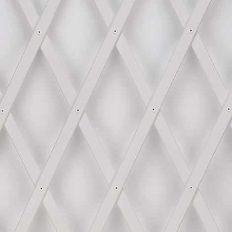 Traliccio Treplast Bianco 1x3 m Tenax (1/4)