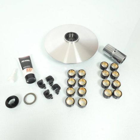 Variomatik Malossi für Roller Yamaha 500 Xp T-Max Abs 2004 bis (1/3)
