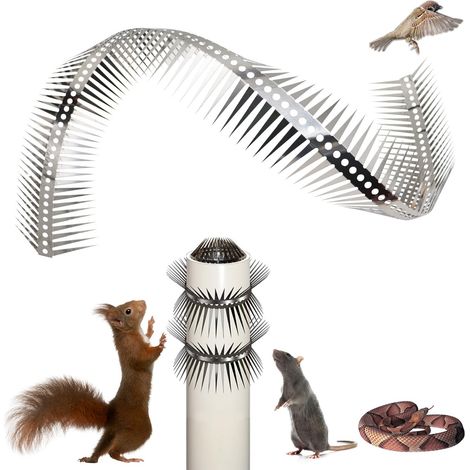 1 Mètre de Pics Anti-Oiseaux en Acier Inoxydable – Pics à Fixer sur Clôture, Découpables et Pliables pour Repousser les Pigeons, Petits Oiseaux, Écureuils, Corbeaux, Rats et Serpents (40 Pouces) (1/5)
