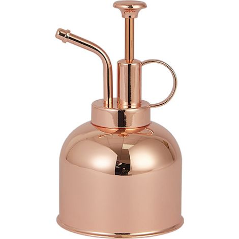 (Rose Gold, 250ml) Stainless Steel Plant Sprayer – Small Watering Can – Suitable for Indoor Potted Plants (1/5)