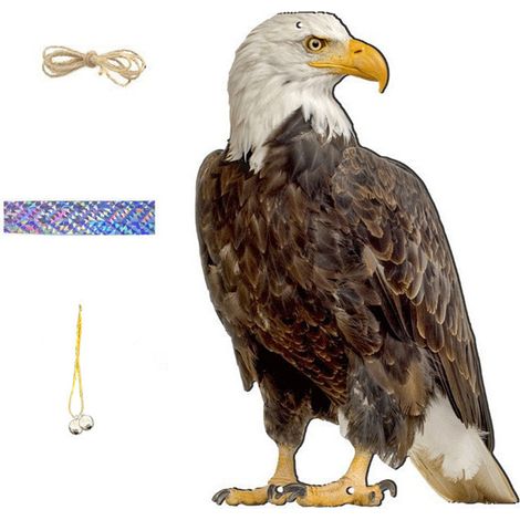 Chouette Répulsif Oiseaux - 30 cm - Tête Pivotante 180° - Yeux Réfléchissants - Base Creuse - Pour Jardin Terrasse Clôture (1/5)