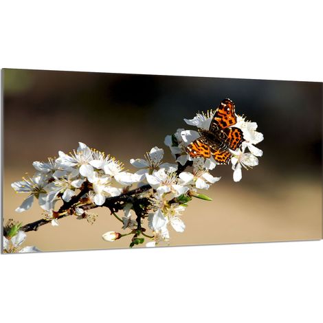 Plaque de protection en verre pour poêle 90x52 Prune (1/5)