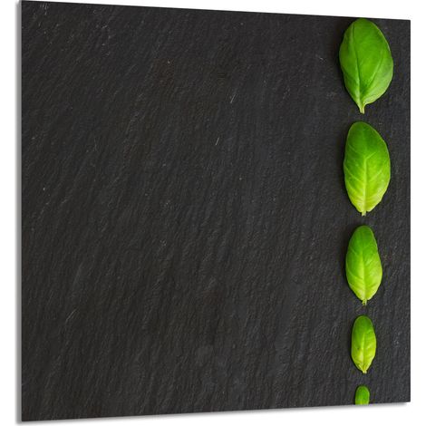 PANNELLO IN VETRO PER CUCINA 60x65 Basilico (1/5)